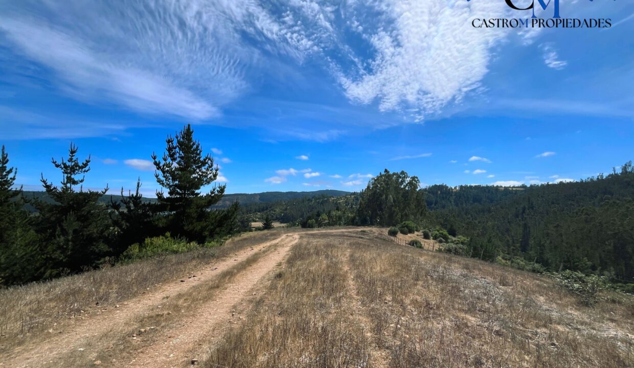 El Valle 14
