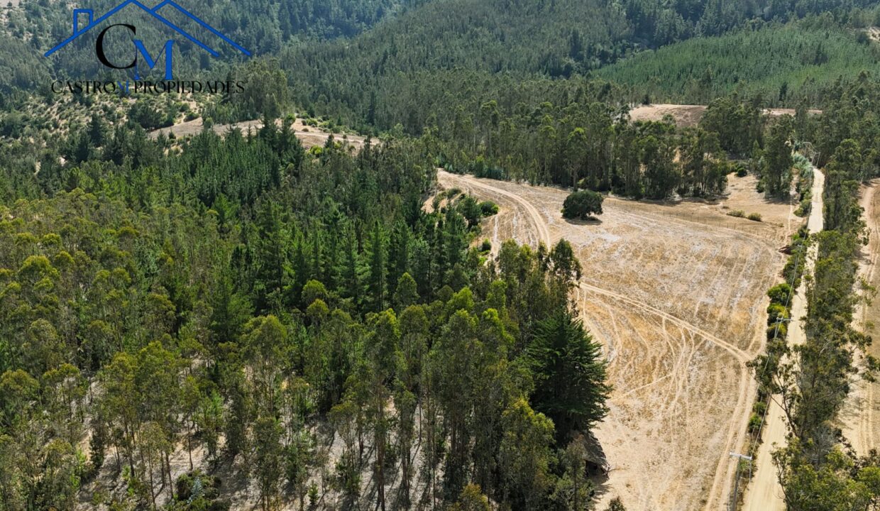 El Valle 2