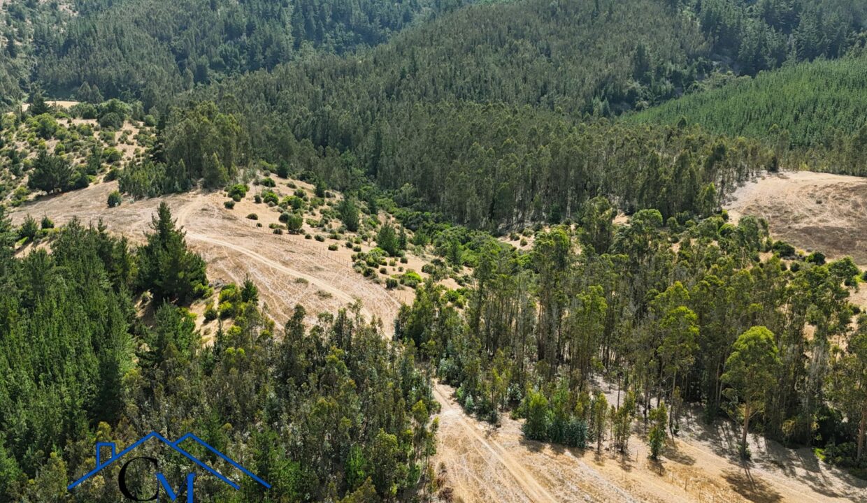 El Valle 4